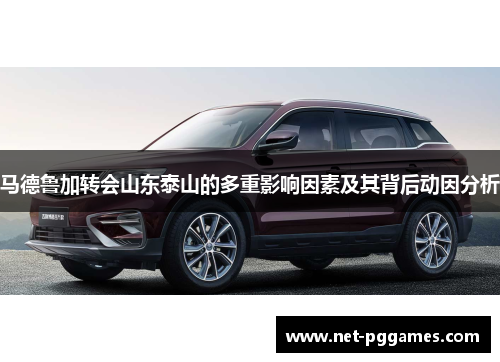 马德鲁加转会山东泰山的多重影响因素及其背后动因分析